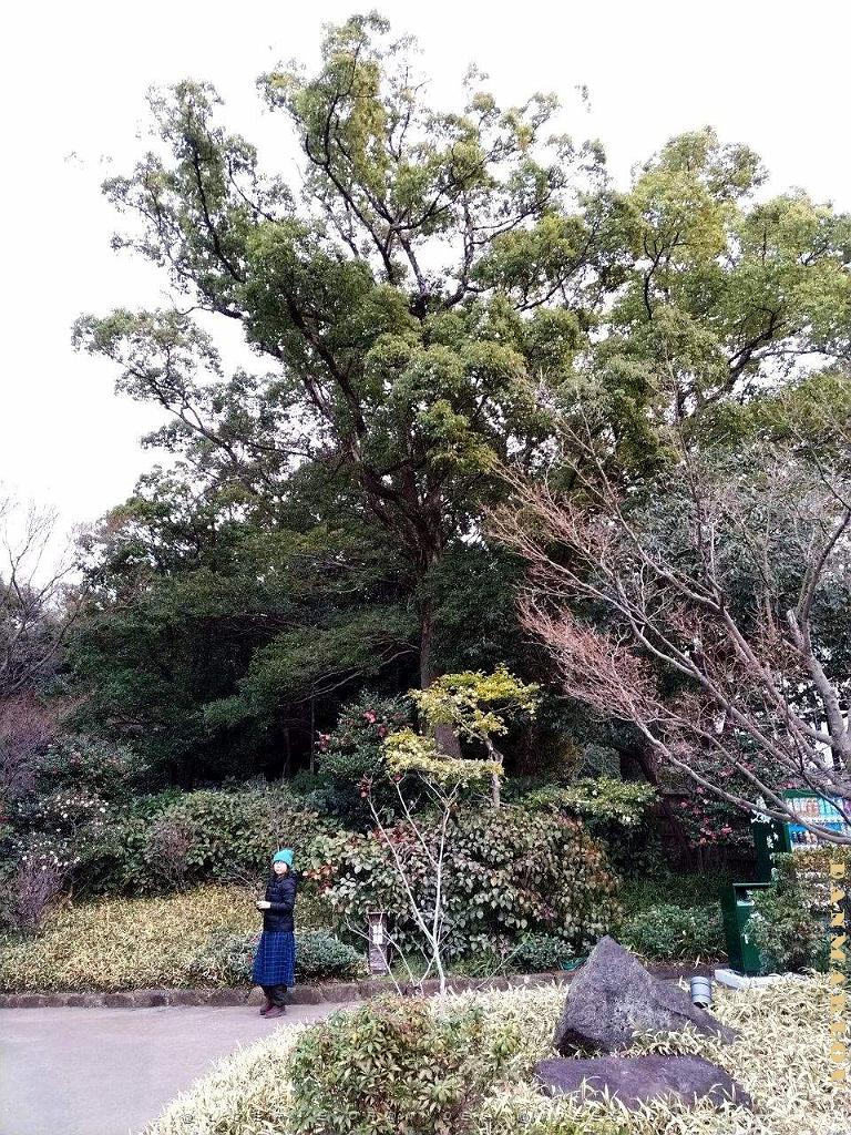 NAGOYA - Parc Tokugawa - 10.01.2024 - 11.jpg